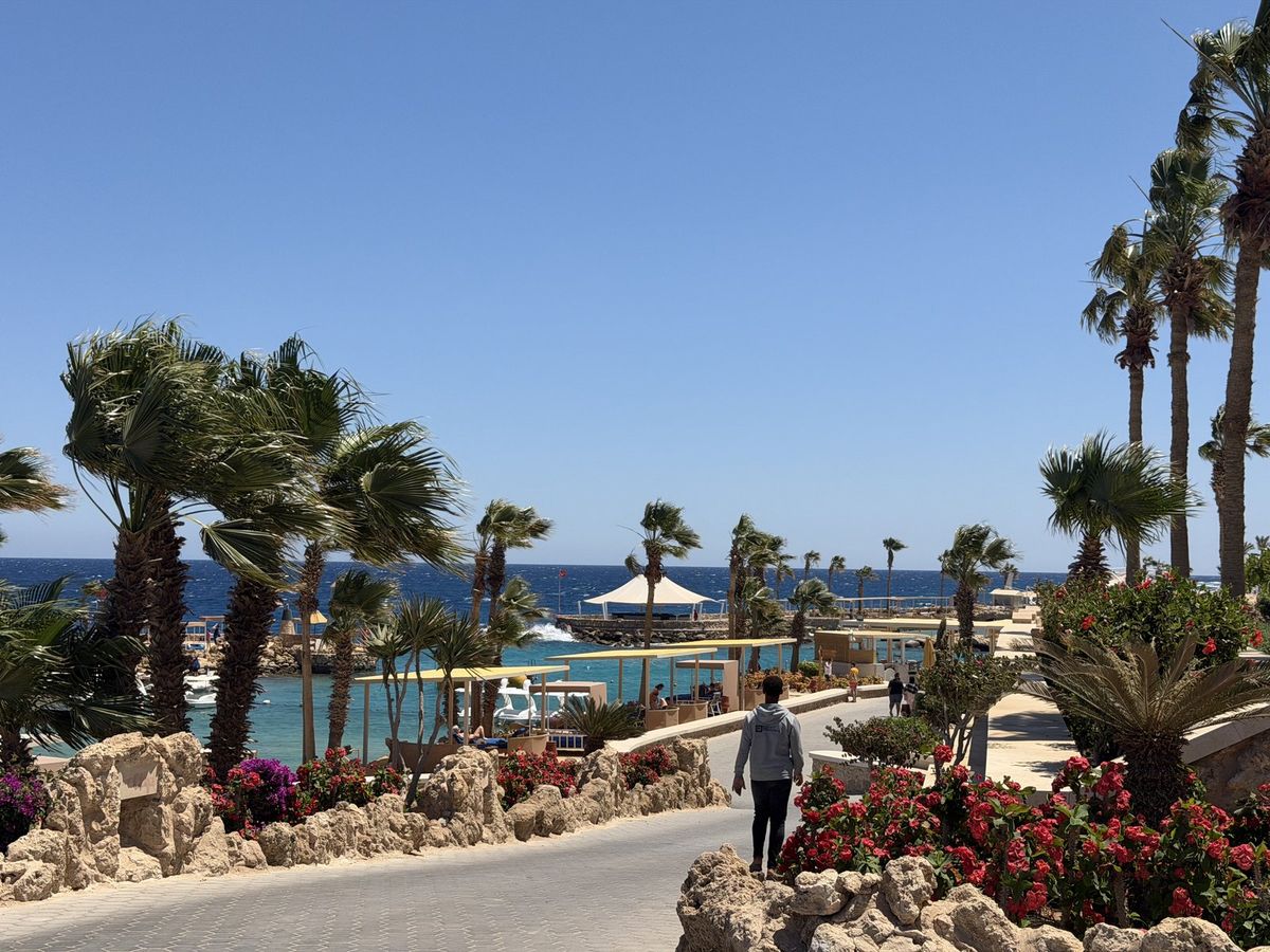 Weg mit Palmen und Blumen zum Meer, im Hintergrund ein Steg, Palmen biegen sich im Wind