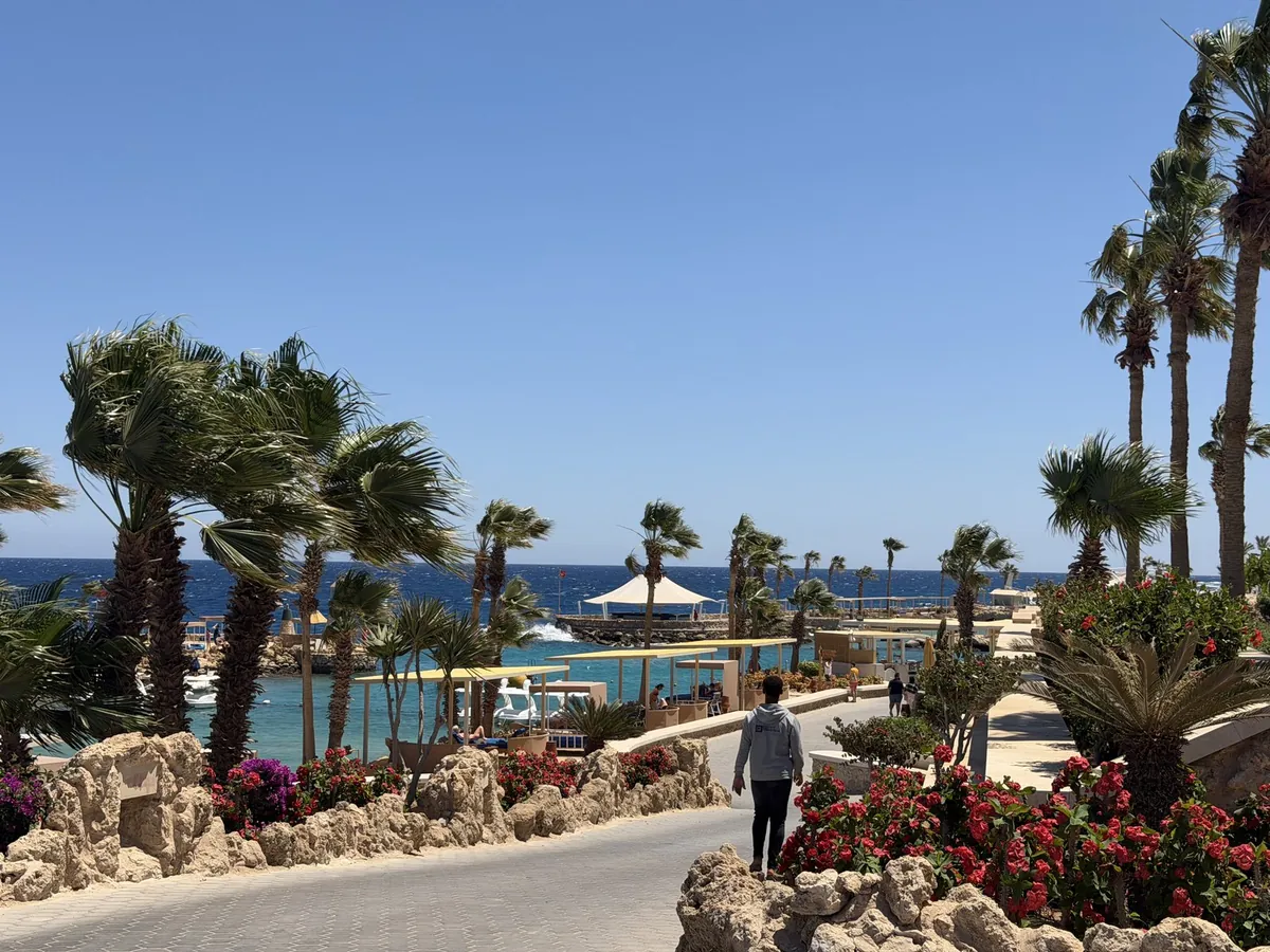 Weg mit Palmen und Blumen zum Meer, im Hintergrund ein Steg, Palmen biegen sich im Wind