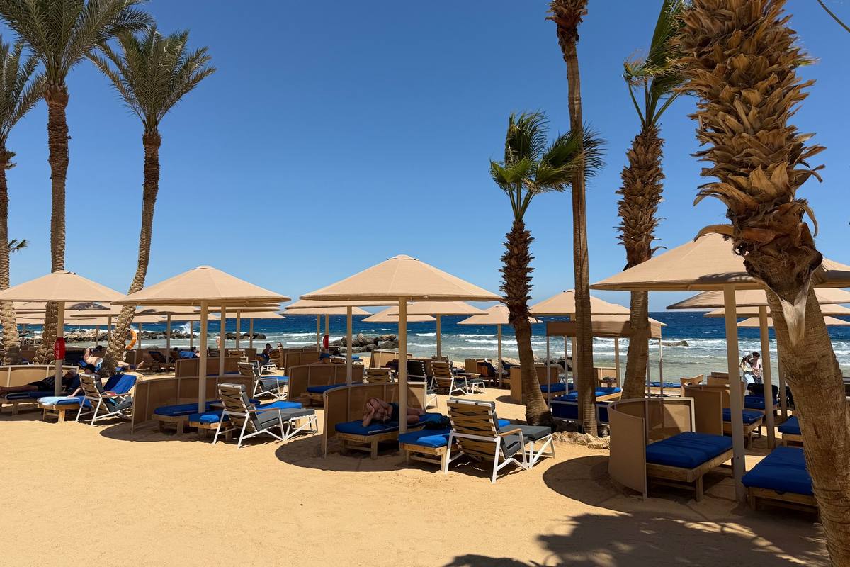 Strand mit Sonnenschirmen, Liegen und Palmen im Pickalbatros Citadel in Sahl Hasheesh