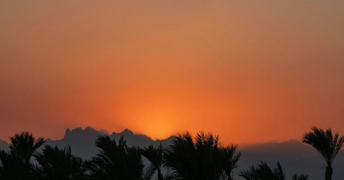 Orangeroter Himmel bei Sonnenuntergang über den Bergen, davor Palmen als Silhouette