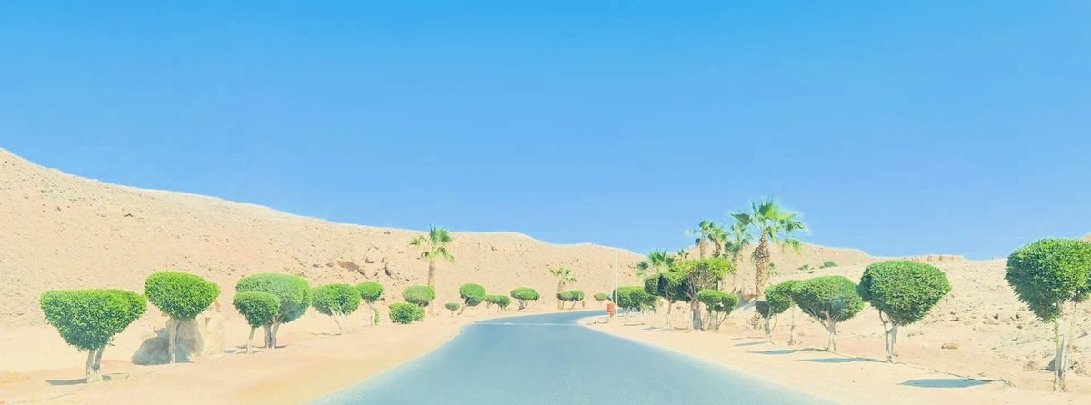 Straße zwischen kahlen Wüstenhügeln mit gepflanzten Bäumen und Palmen in Sahl Hasheesh